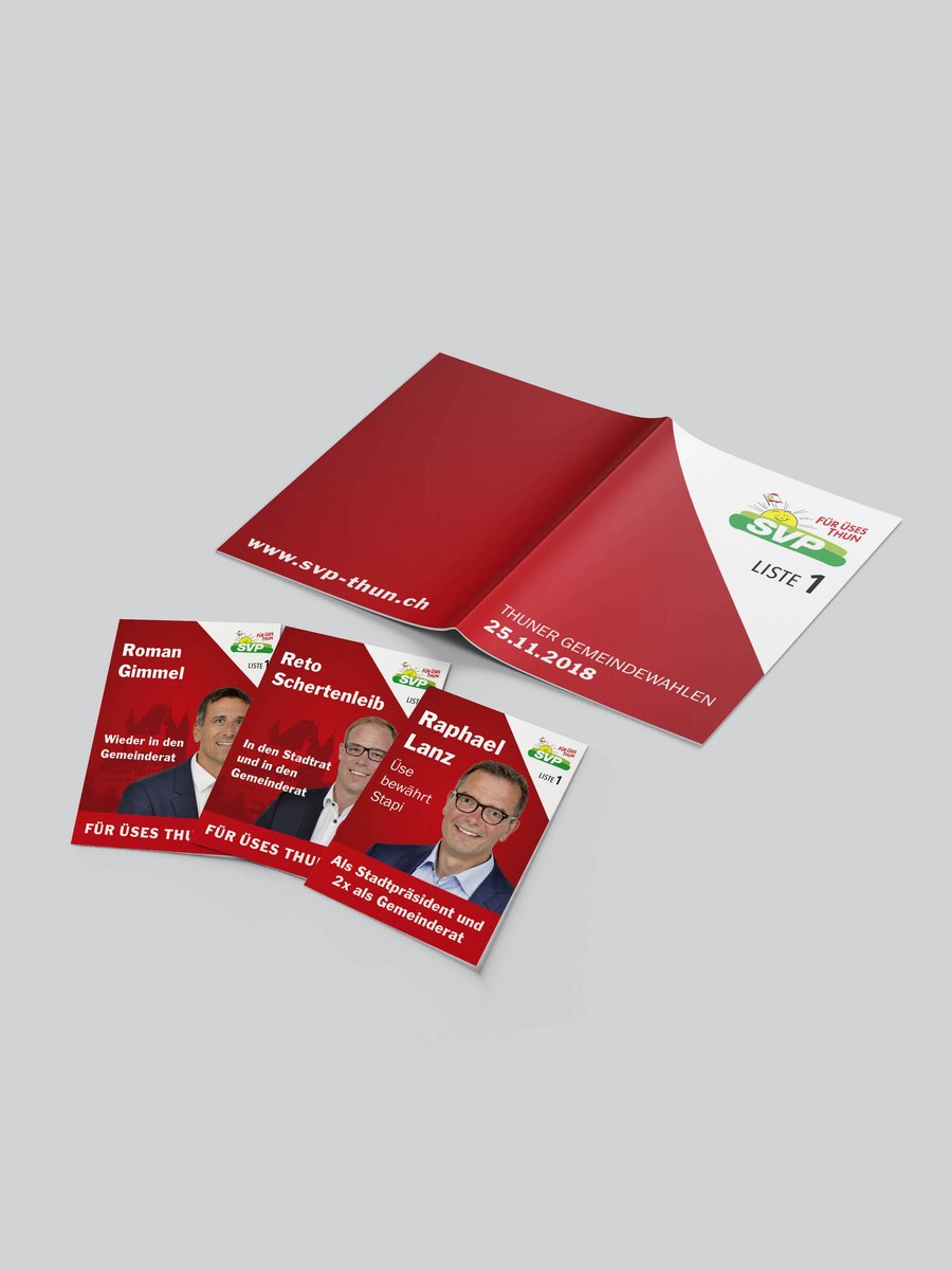 Politik SVP Thun